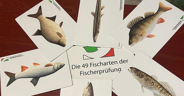 Foto: Fischerprüfung